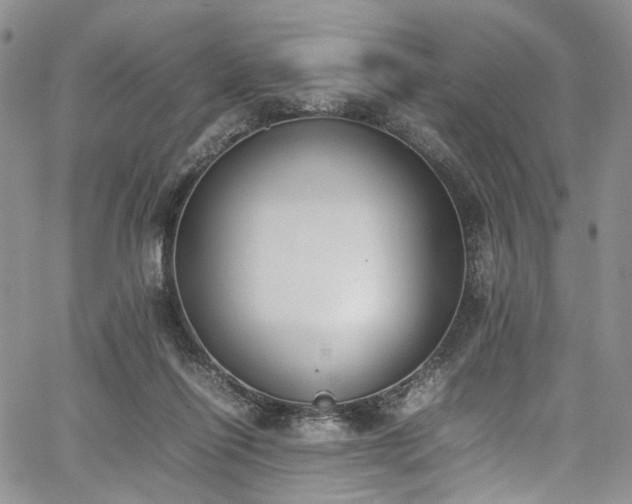 X0000067950262200604201439