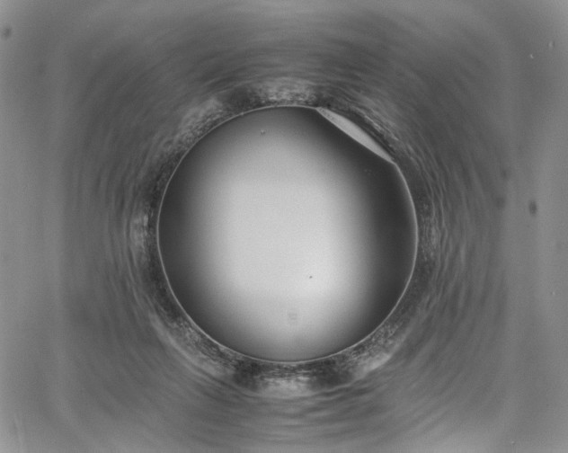 X0000067950263200604201439