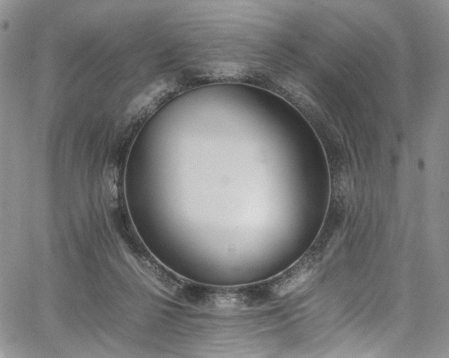 X0000067950264200604201439