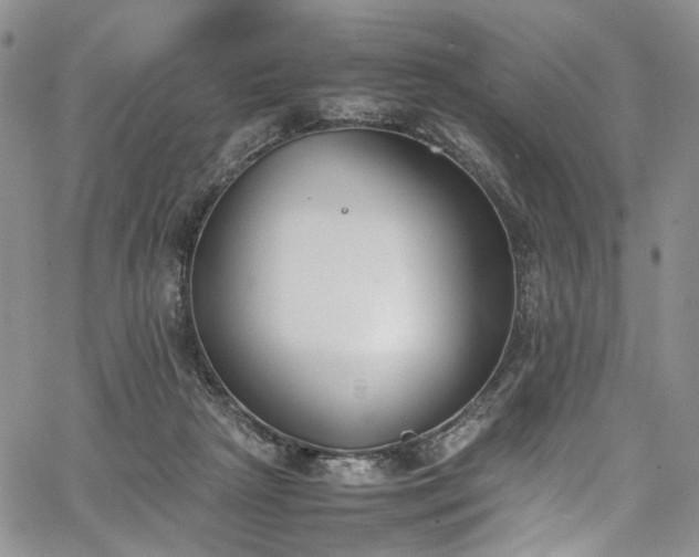 X0000067950265200604201439