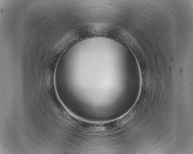 X0000067950266200604201439