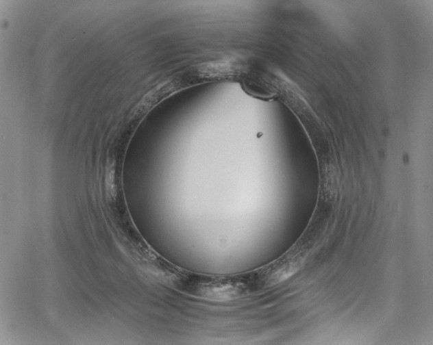 X0000067950267200604201439