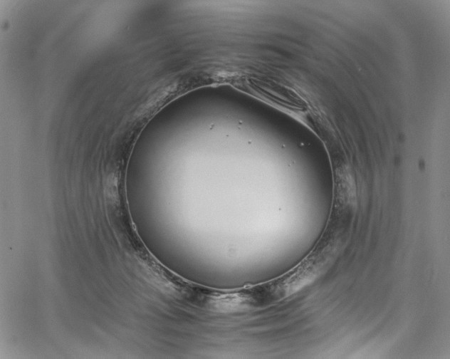 X0000067950269200604201439