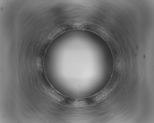 X0000067950270200604201439