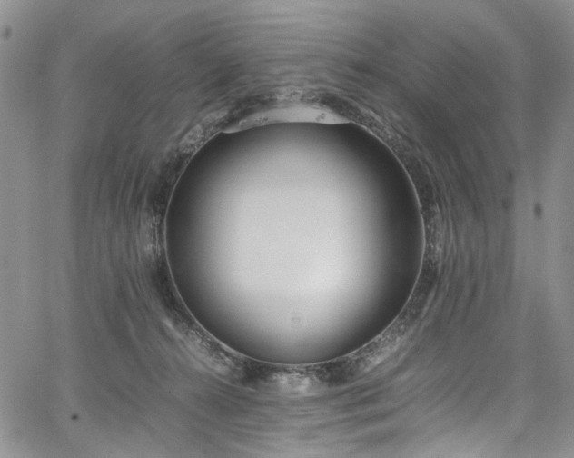 X0000067950272200604201439