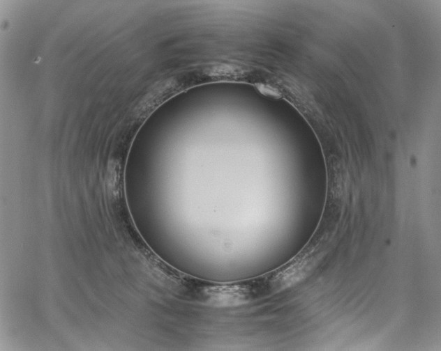 X0000067950273200604201439