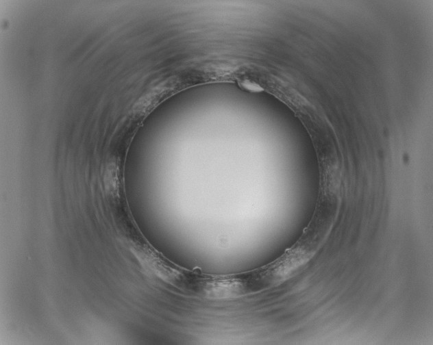 X0000067950274200604201439