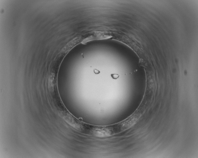 X0000067950275200604201439