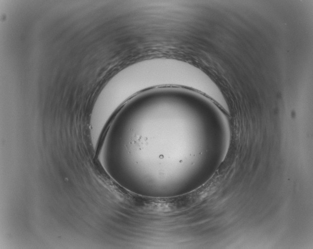 X0000067950276200604201439