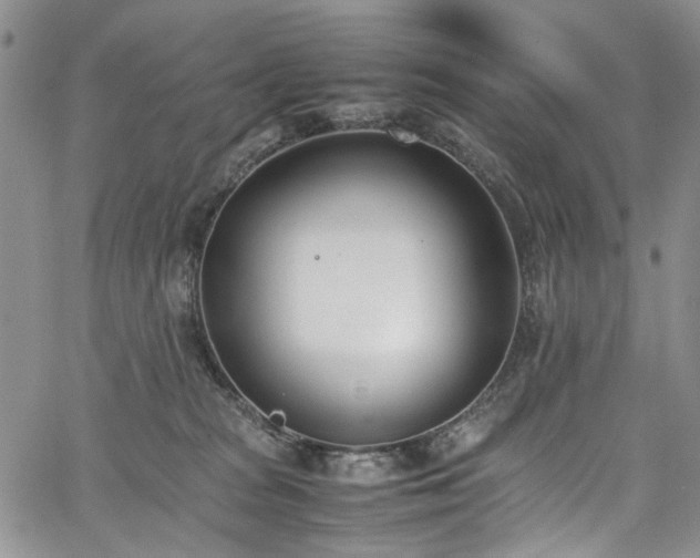 X0000067950277200604201439