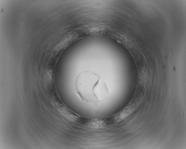 X0000067950278200604201439