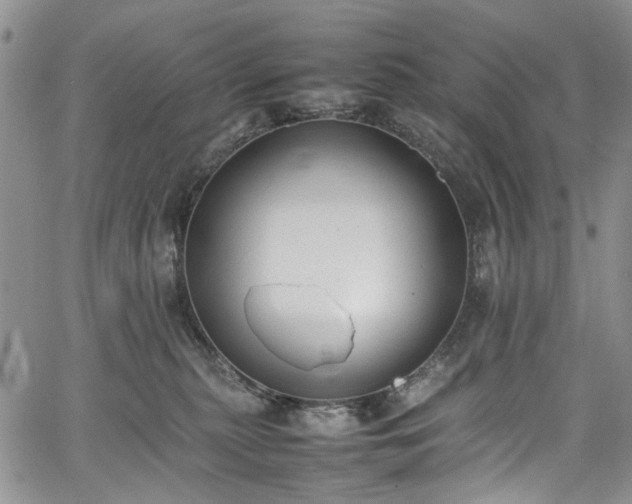 X0000067950279200604201439