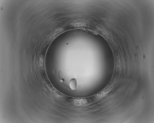 X0000067950281200604201439