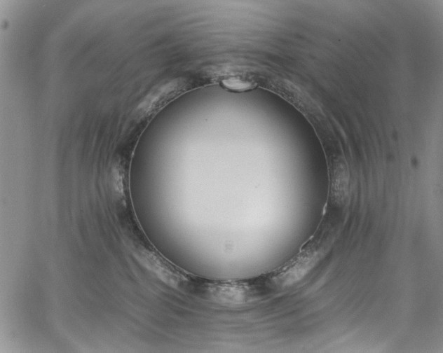 X0000067950282200604201439