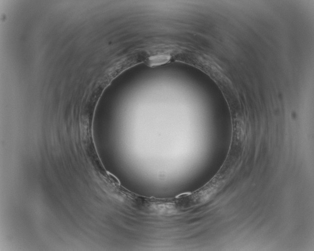 X0000067950283200604201439