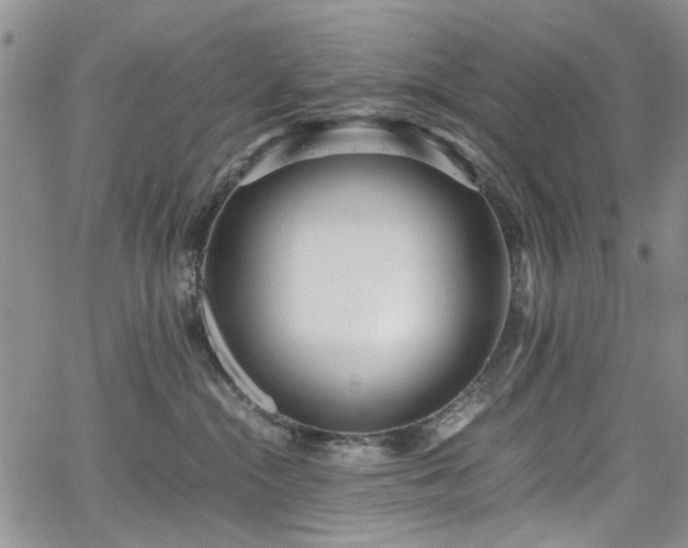 X0000067950284200604201439