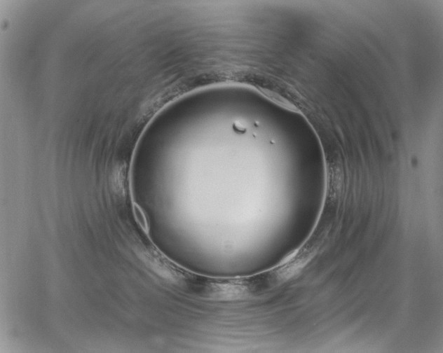 X0000067950286200604201439