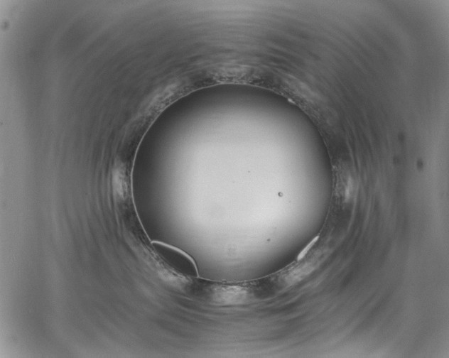 X0000067950287200604201439