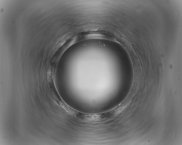 X0000067950288200604201439