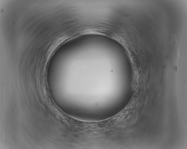 X0000067950289200604201438