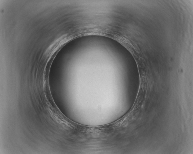 X0000067950290200604201438