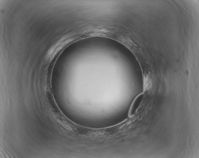 X0000067950291200604201438