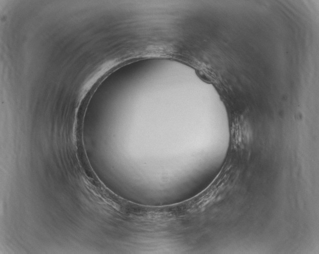 X0000067950292200604201438