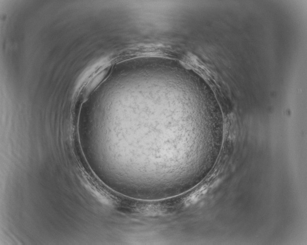 X0000067950293200604201438