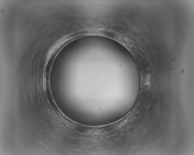 X0000067950294200604201438