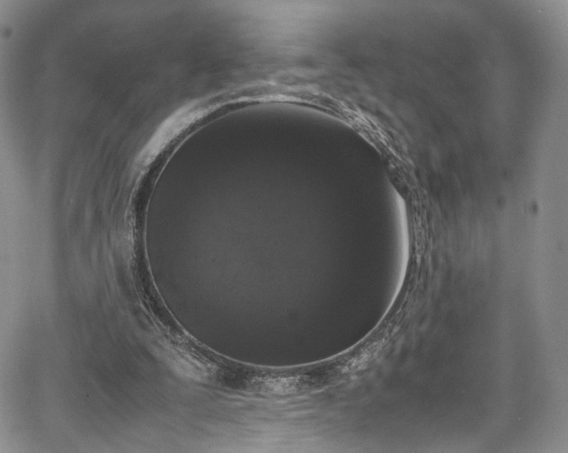 X0000067950295200604201438