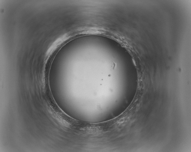 X0000067950296200604201438