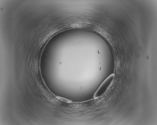 X0000067950297200604201438