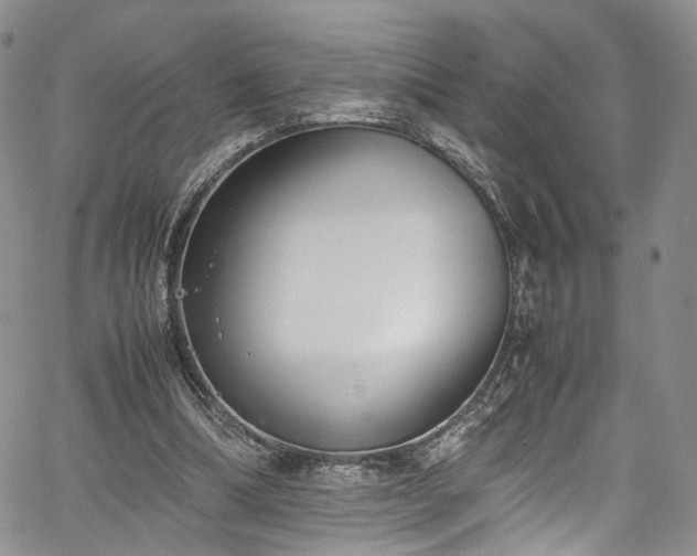 X0000067950298200604201438