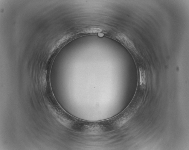 X0000067950300200604201438