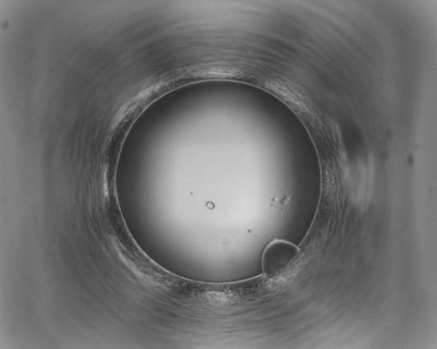 X0000067950302200604201438