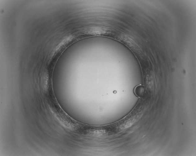 X0000067950304200604201438