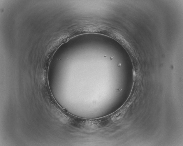 X0000067950305200604201438