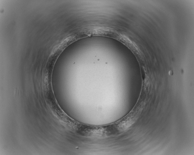 X0000067950306200604201438