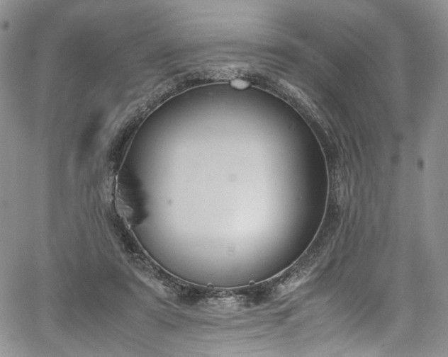 X0000067950307200604201438