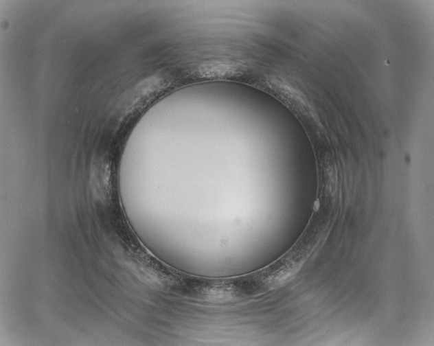 X0000067950308200604201438