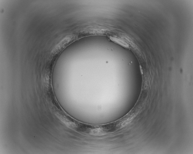 X0000067950309200604201438