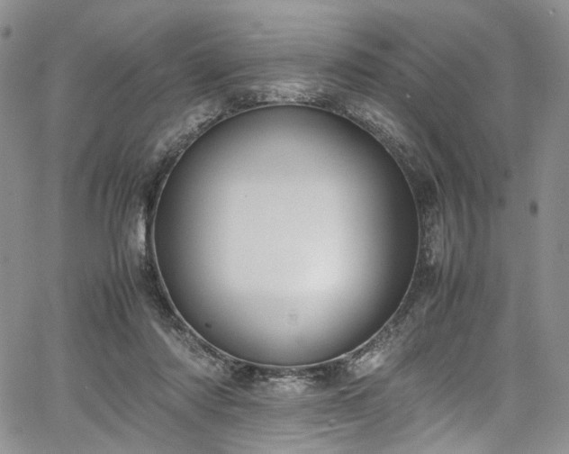 X0000067950310200604201438