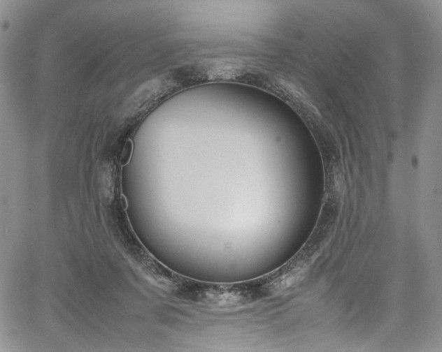 X0000067950311200604201438