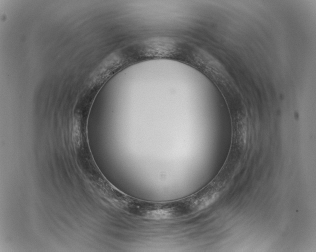 X0000067950312200604201438