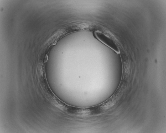 X0000067950313200604201438