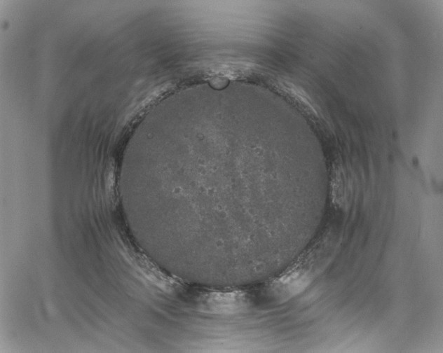 X0000067950314200604201438