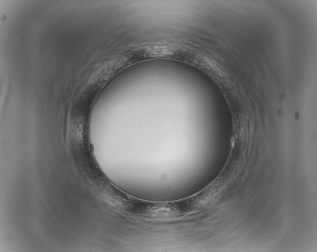 X0000067950315200604201438