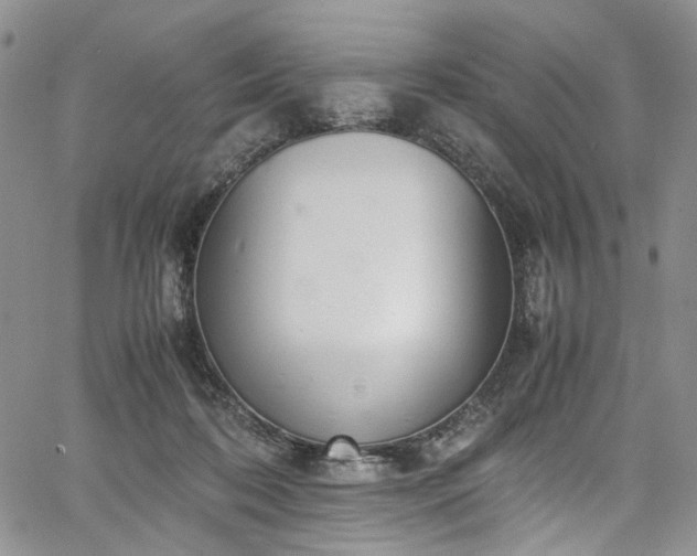 X0000067950316200604201438