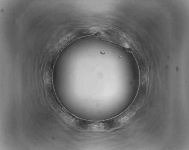 X0000067950317200604201438