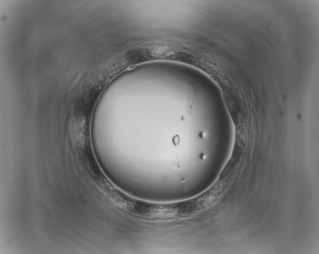 X0000067950319200604201438